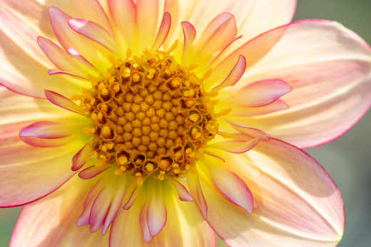 �1759919 �������(a): ����������:1920x1280